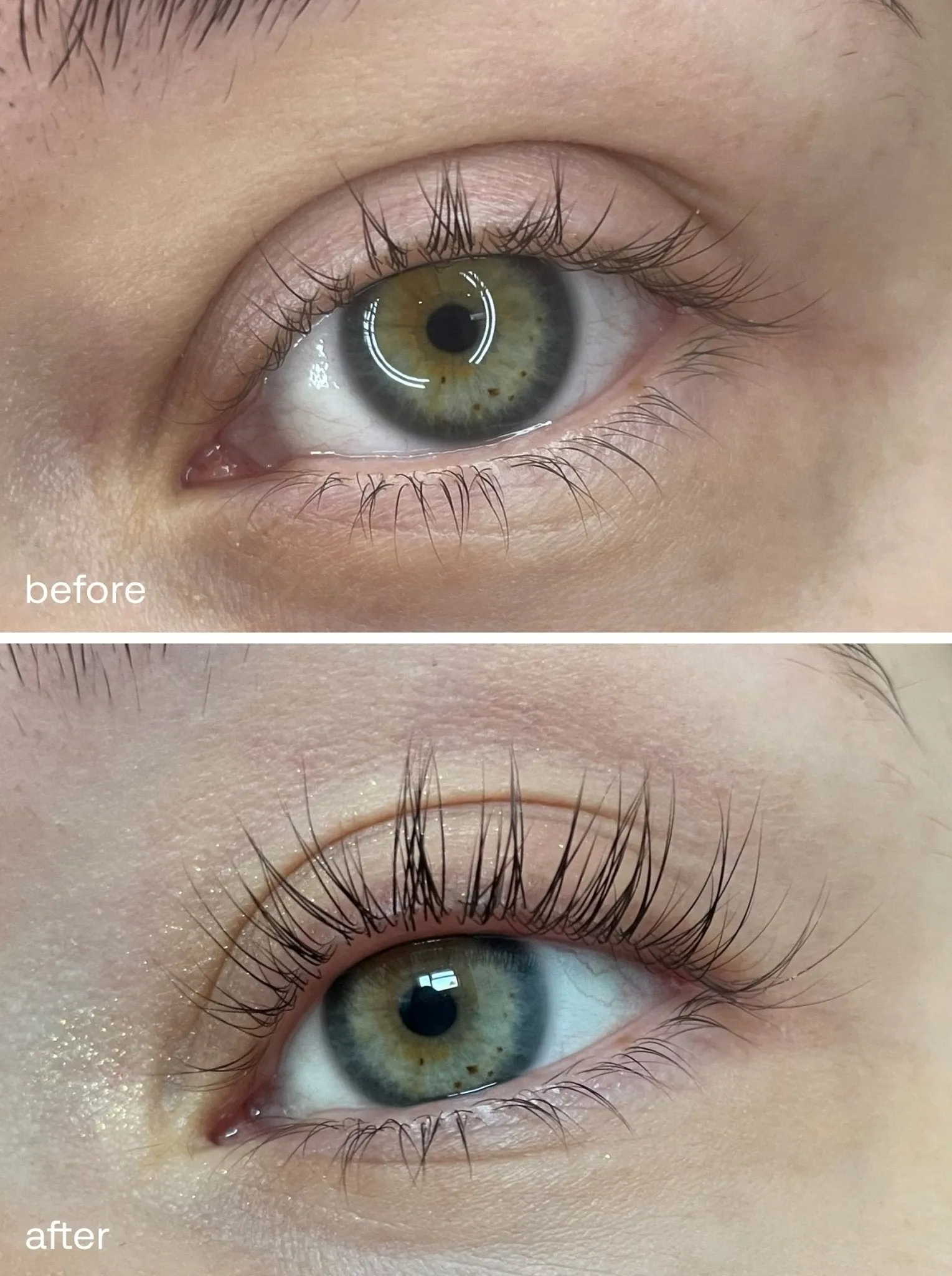 Complete Lash Kit