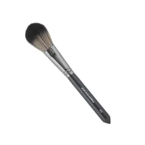 Cozzette Brushes for Face