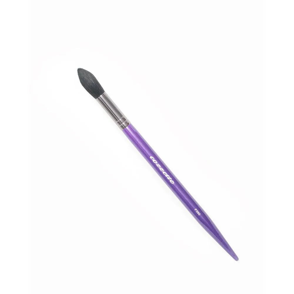 Cozzette Brushes for Face
