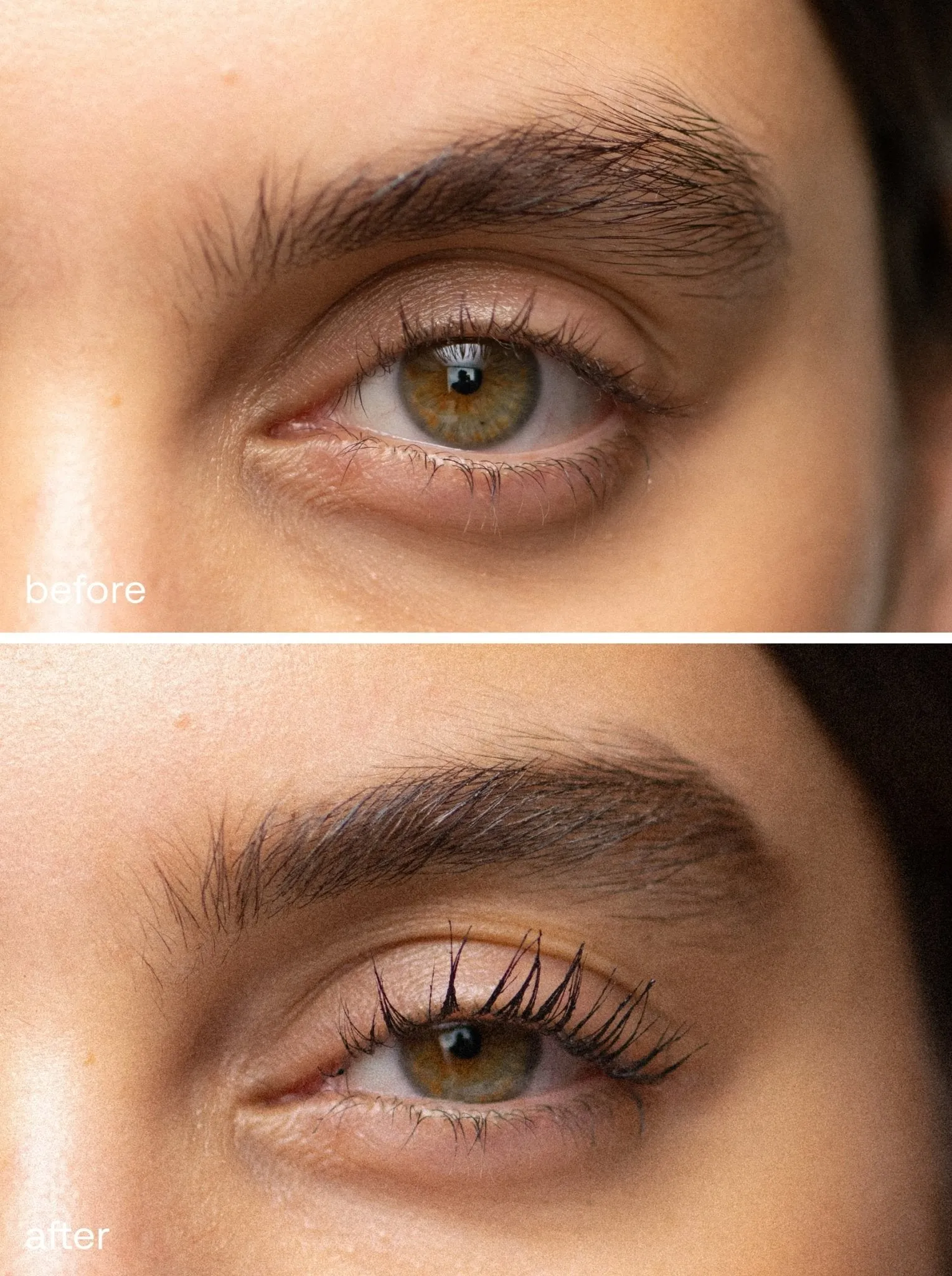 Defined Lashes Set
