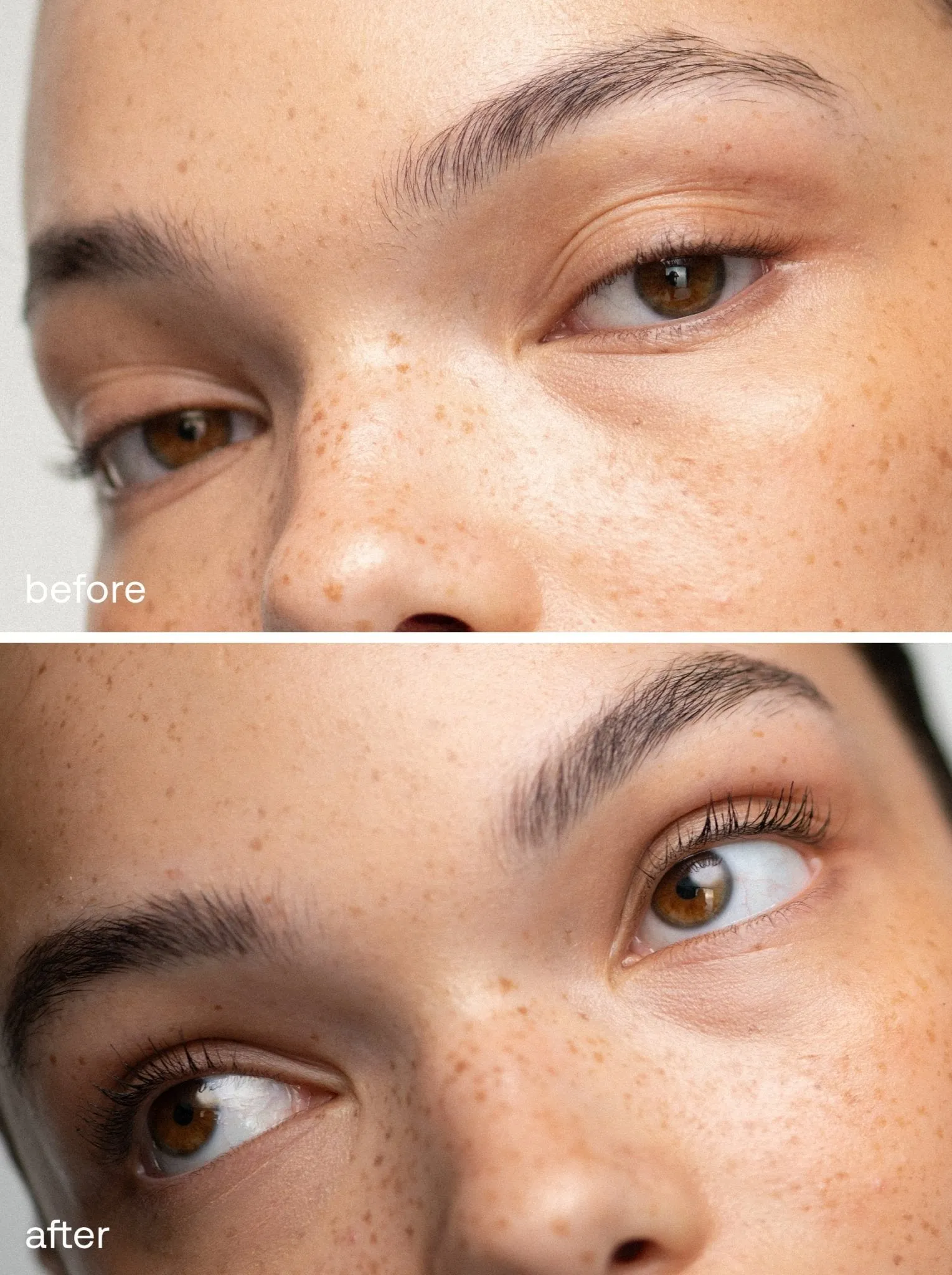 Defined Lashes Set