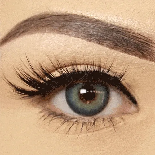 EDITOR LASH Dramatic Magnetic Half Lashes Deluxe Kit