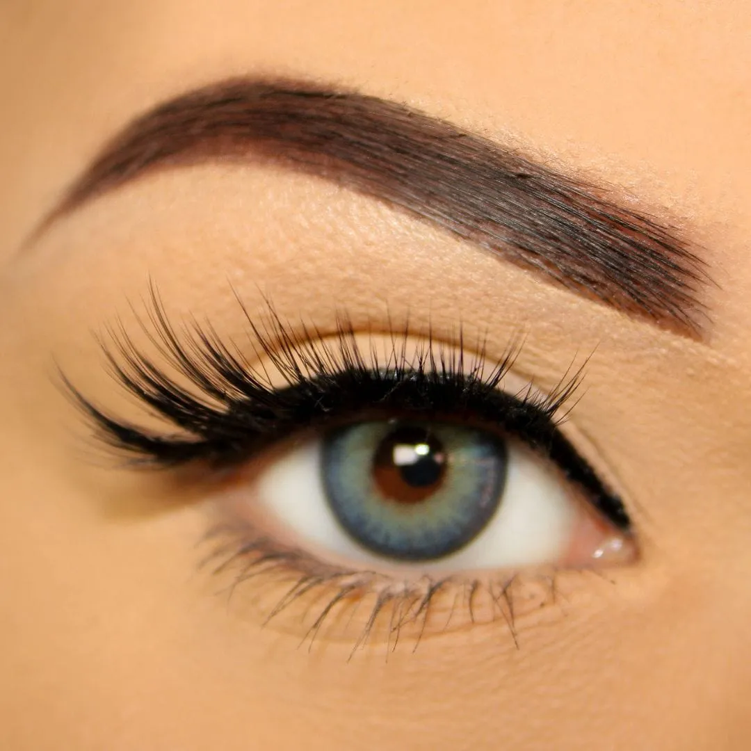 EDITOR LASH Dramatic Magnetic Half Lashes Deluxe Kit